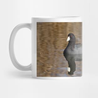 American Coot Mug